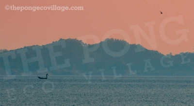 places to visit in kangra