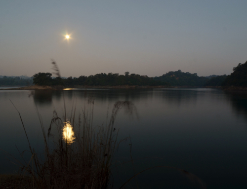 Weekend Destination / Getaway Weekend , Pong Dam Lake